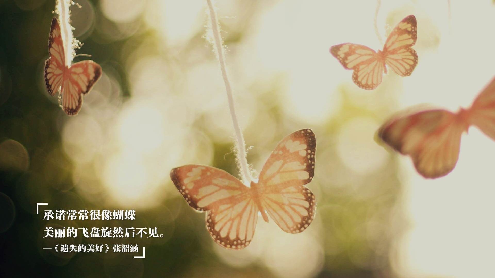 _疯狂轮滑嘉年华:趣味与速度共存_,疯狂轮滑老奶奶下载