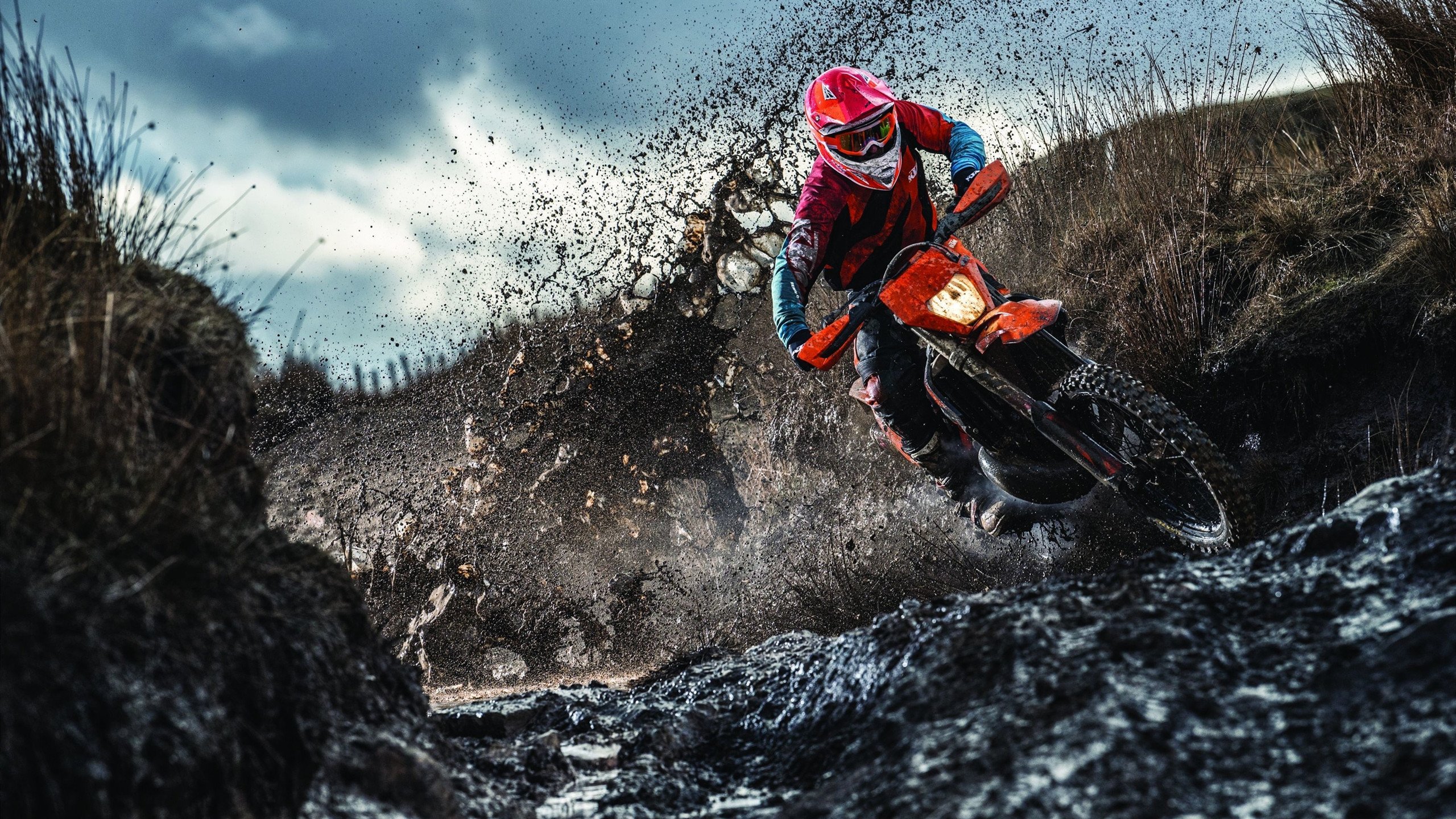 “球迷专属：你支持的球队最精彩瞬间投票”，球迷群体