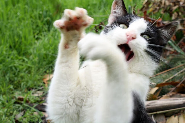 【战术揭秘】奥沙利文的罚分应对策略和临场调整，奥沙利文领先95分对手还打