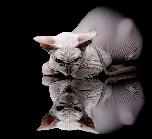 中国篮球联赛官宣年度最佳阵容，中国篮球队最佳战绩