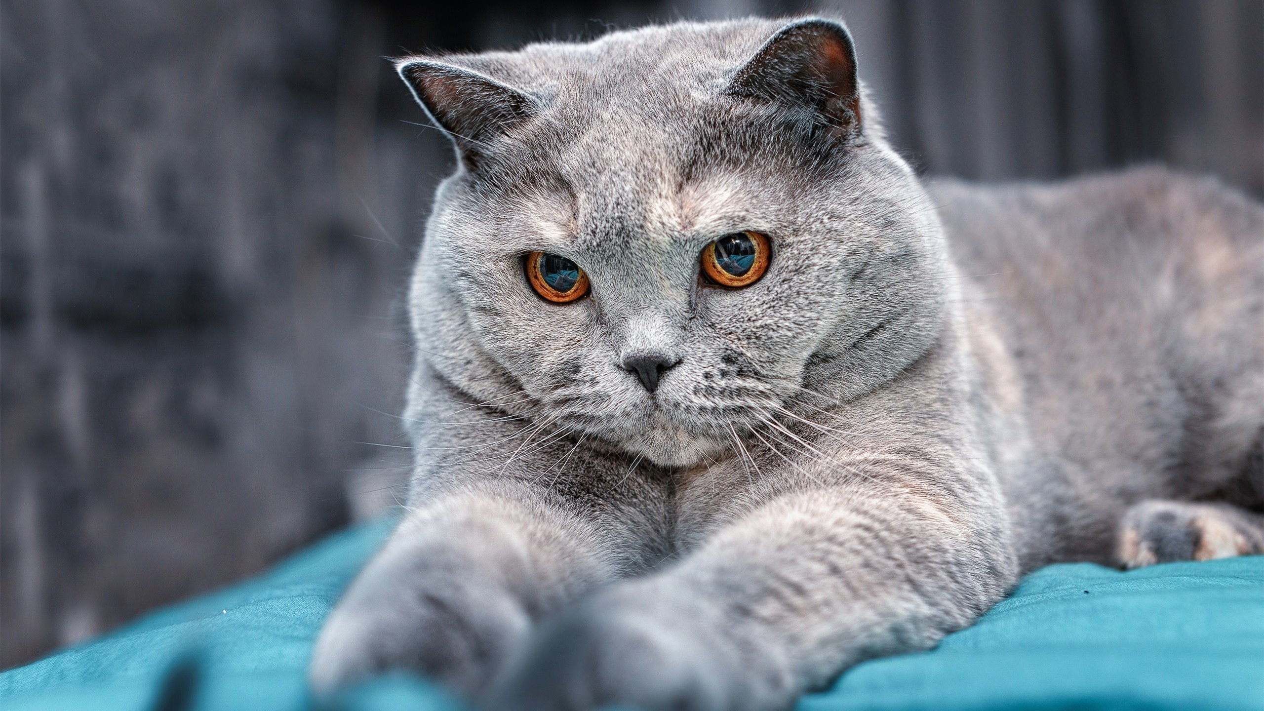 全国青少年“挑战极限”户外篮球趣味赛在西藏拉开序幕,激发青少年勇气