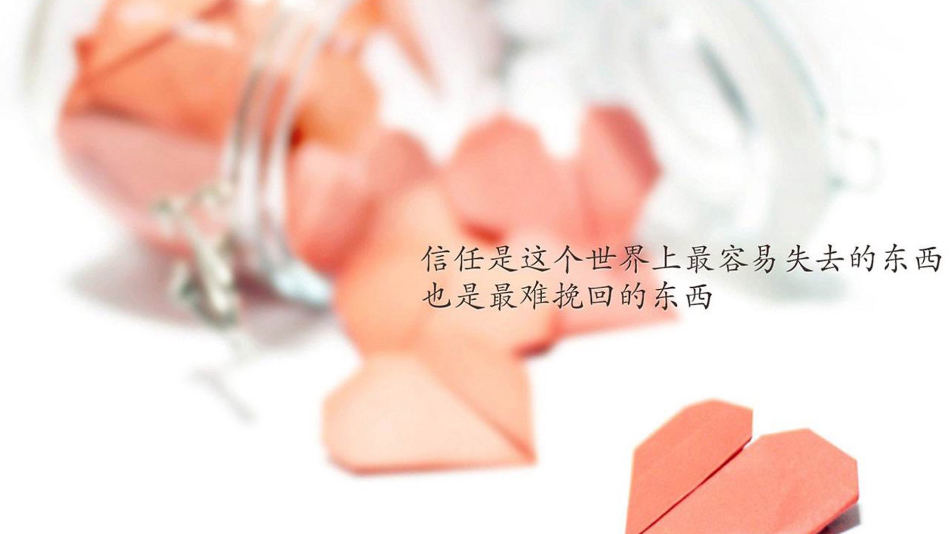 塞内加尔马术协会设立马匹福利基金，支持马匹退休生活。，塞内加尔马塔尔