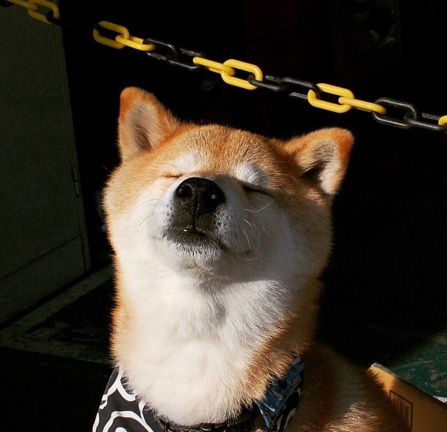 强势夺冠希望！不容错过的精彩比赛瞬间，比赛勇夺冠军