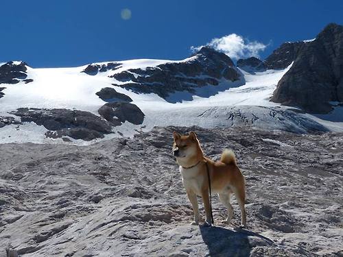 足球自主品牌球衣系列发布引发抢购，足球衣服品牌前十排名