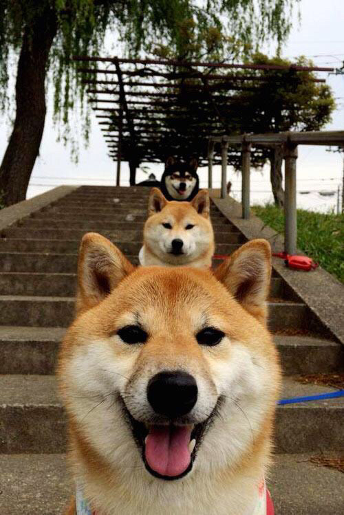 上海海港球员伤病情况通报，上海海港球员伤病情况通报最新