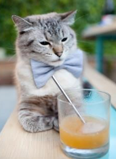 体育锋线射手荣获月度最佳球员,锋线球员选鞋要注意什么