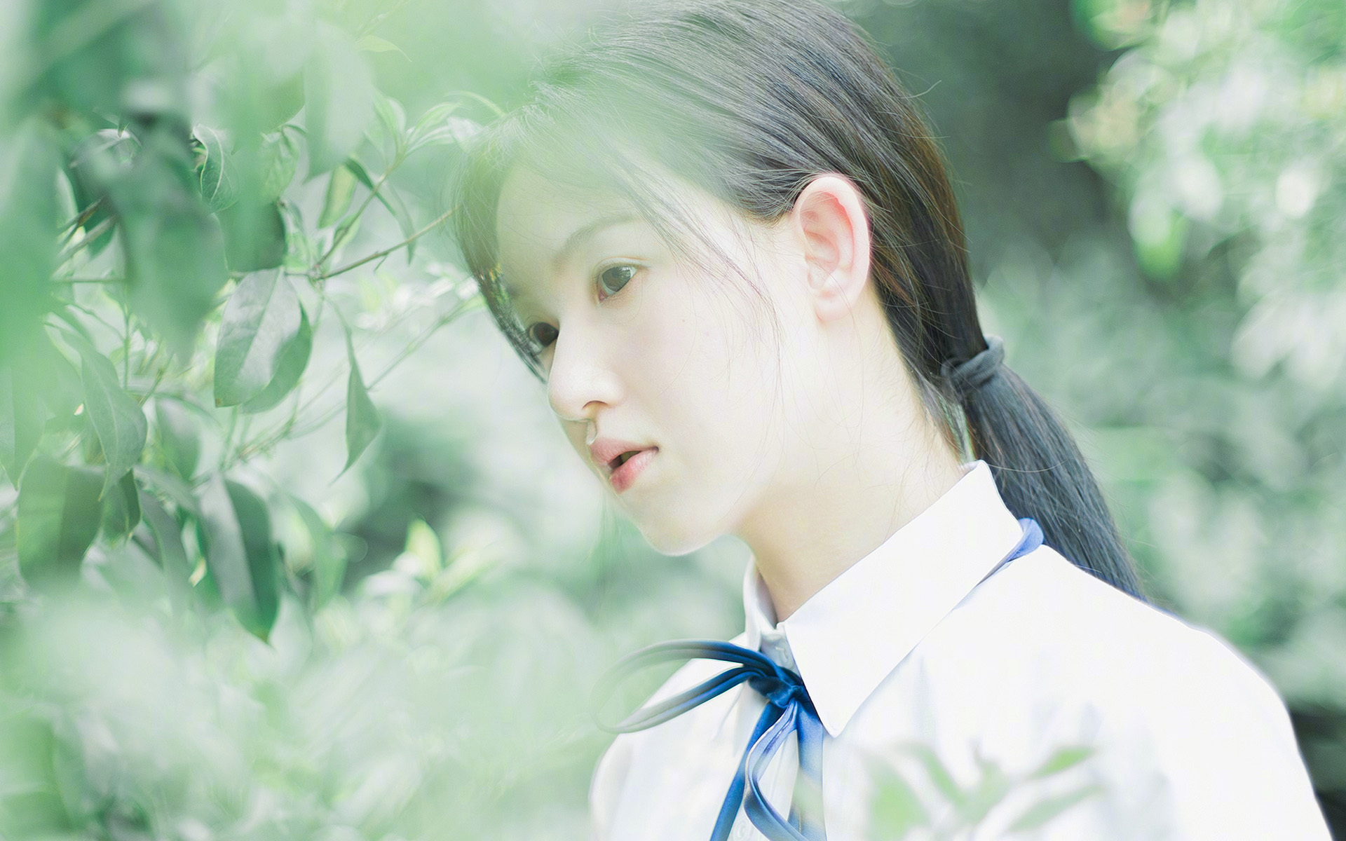 开云网站-凯撒酋长球迷组织举办庆祝活动，支持球队，凯撒大帝 足球