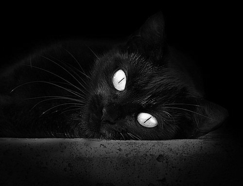 开云官方-巴黎客场大胜图卢兹，全取三分稳坐次席，21-22巴黎客场