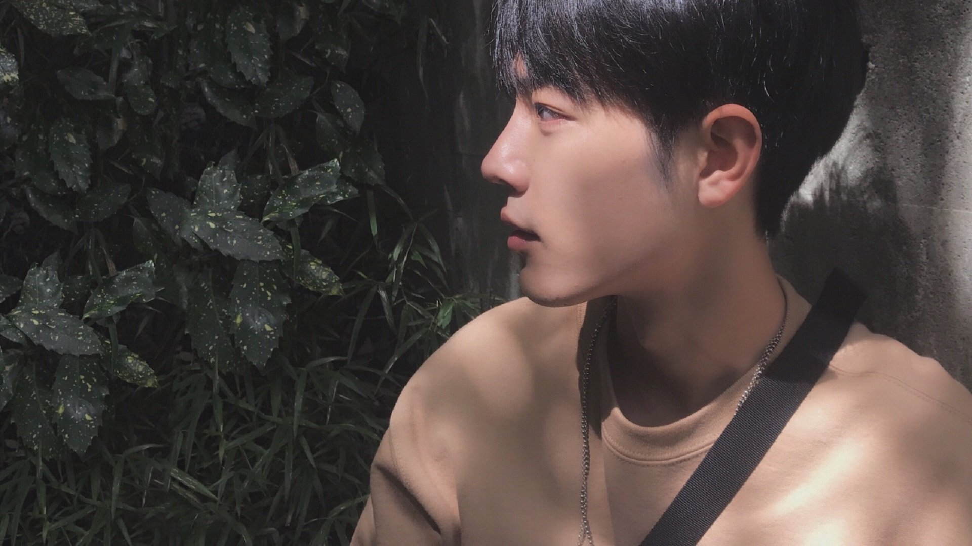 开云官方-帕尔马前锋状态回暖，助球队连胜，帕尔马球队厉害吗