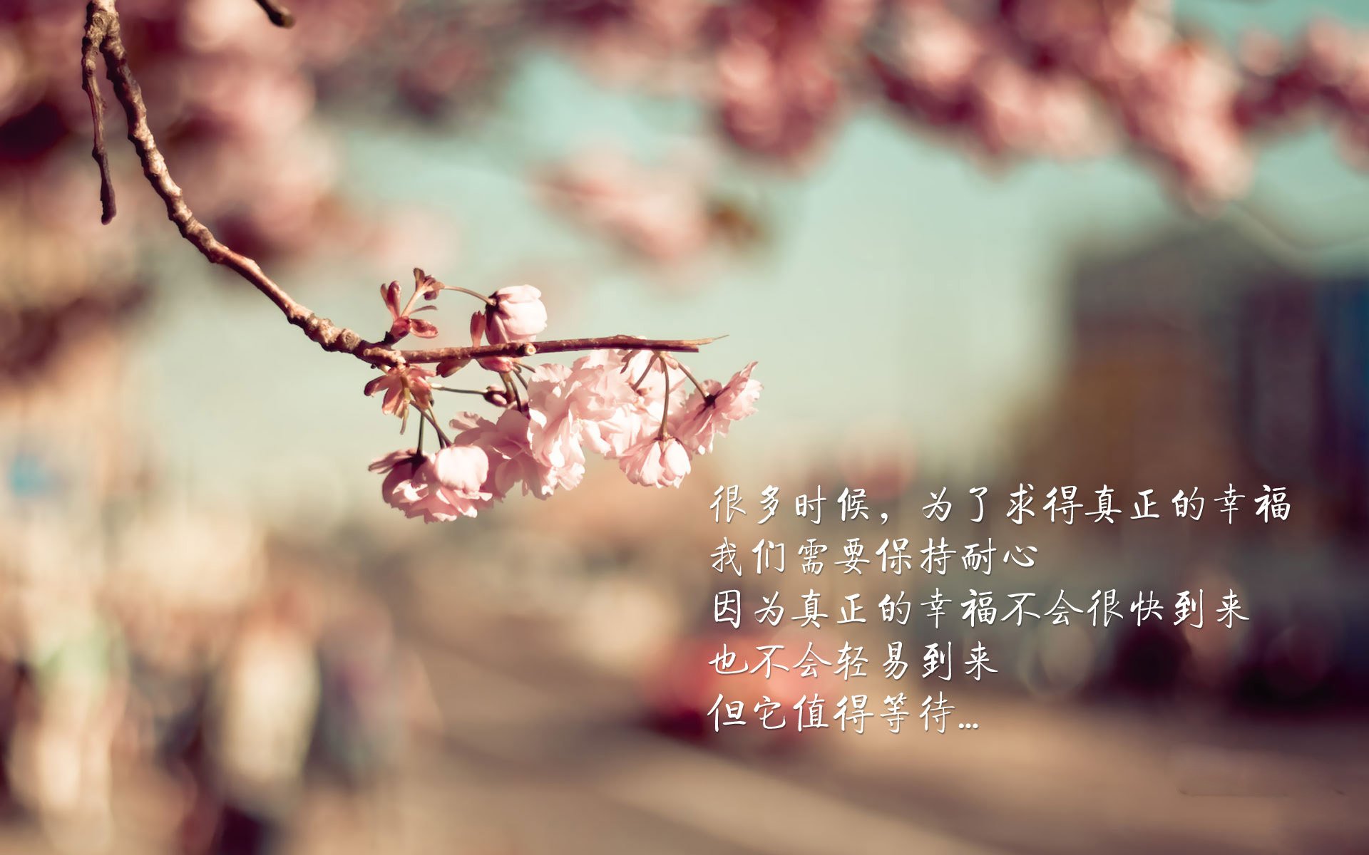 是否应设立联盟官方播客平台，是否应设立联盟官方播客平台账号