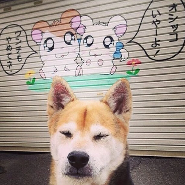 雄鹿队受困防守，希望能迎来好转，雄鹿队的比赛