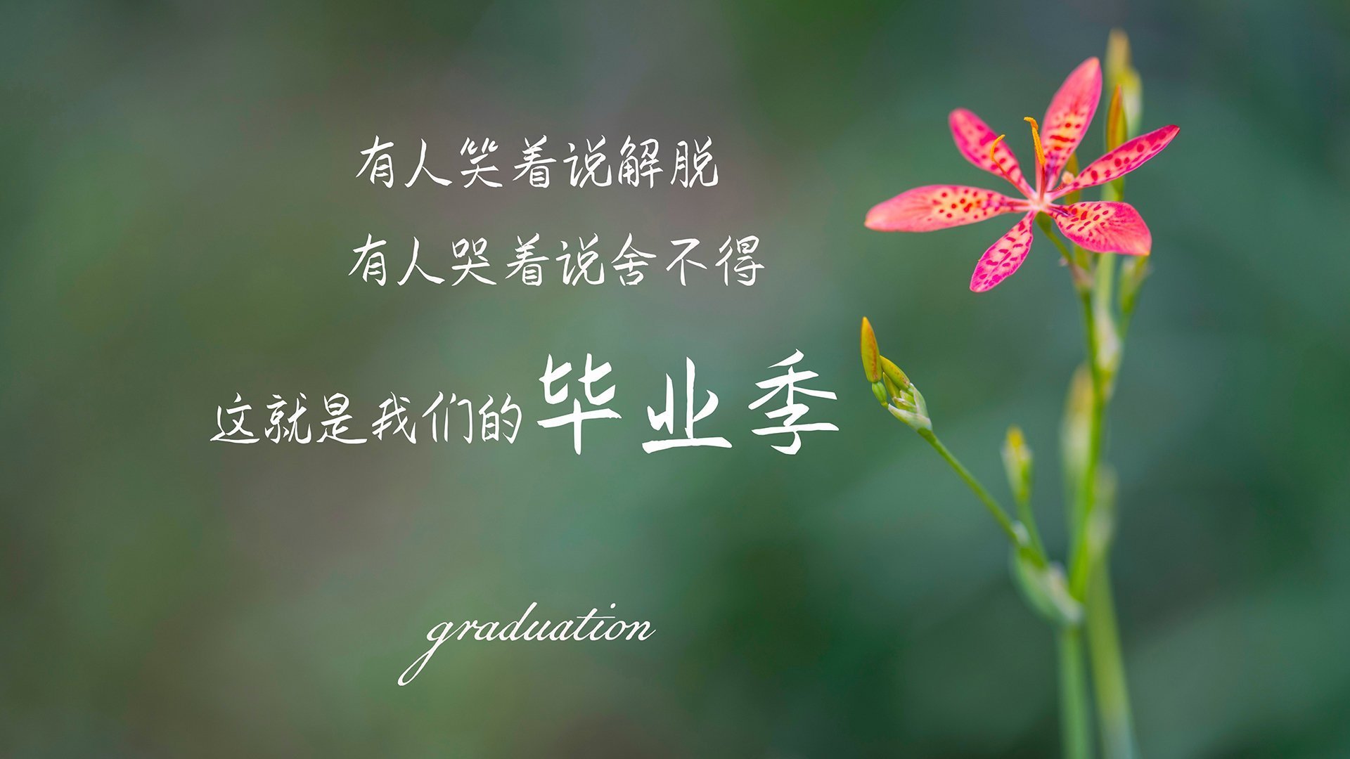 国足全队传球节奏同步评分系统，国足传球进自己球门