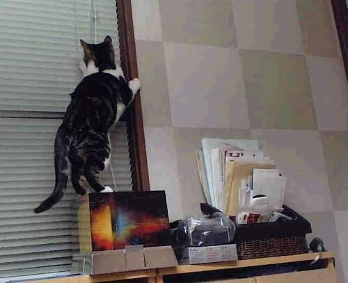 装备数据分析应用，装备试验数据