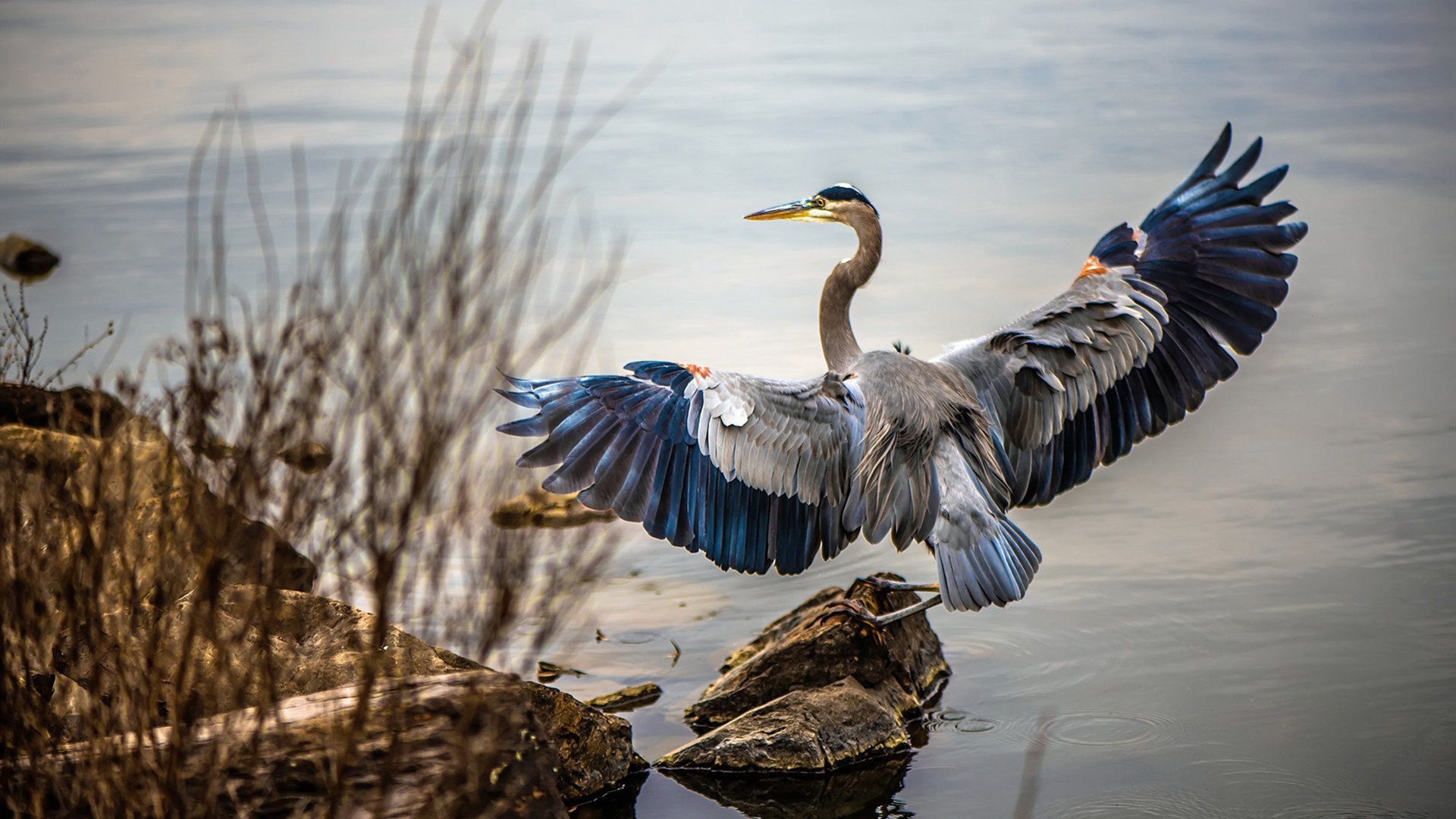 开云官方网站-电竞行业人才缺口持续扩大高端人才供不应求，电竞人才缺口达50万!