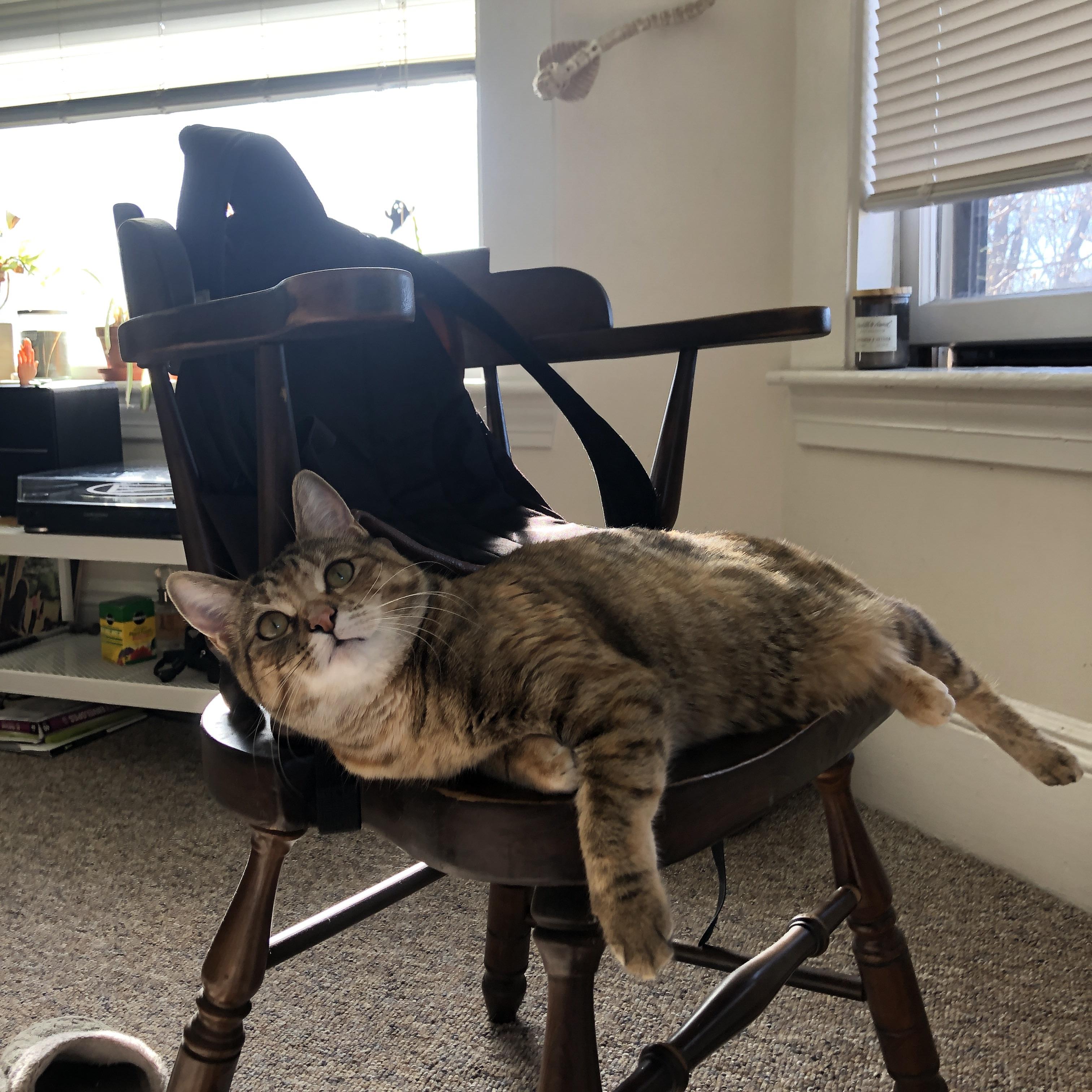 开云入口-美国队未来发展潜力：如何打破技术瓶颈，实现大突破，美国队目前战绩