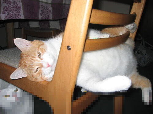 曼联主场迎战切尔西，争夺关键积分