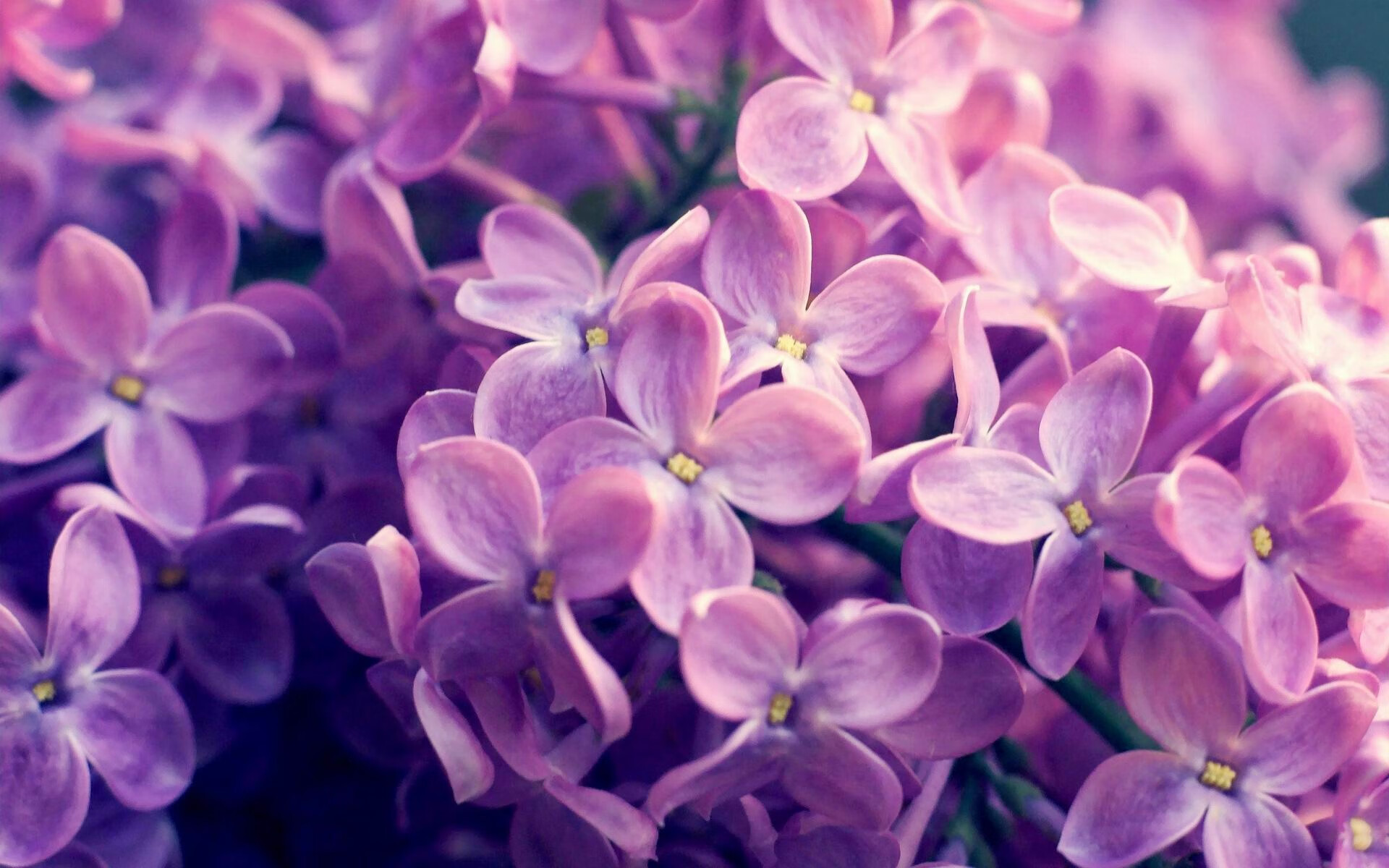 Kaiyun(中国)开云-球队文化成凝聚力源泉，球队文化是什么