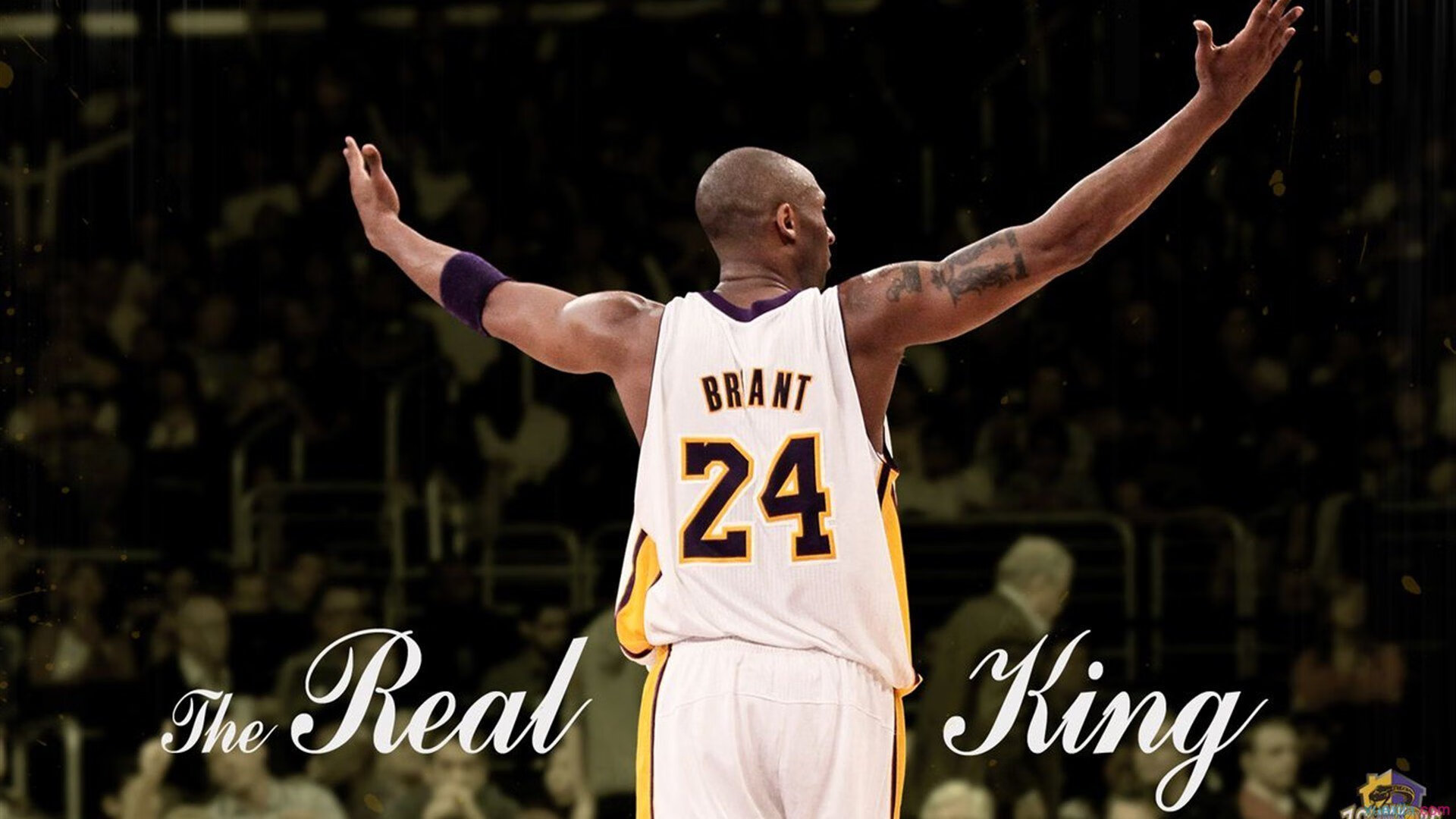 赛季最佳助攻：传球艺术的巅峰之作，赛季助攻记录